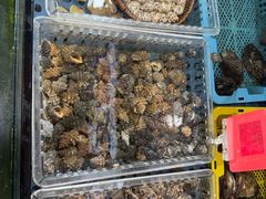 -坛南湾阿强农家乐.海鲜大排档老字号(福州地标美食店)