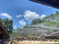 -野象谷景区
