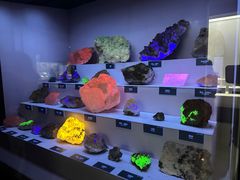 -湖南省地质博物馆