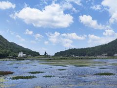-腾冲北海湿地