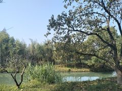 -西溪国家湿地公园