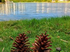 -白塘生态植物园