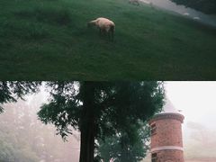 -神户市立六甲山牧场