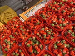 -召稼楼古镇