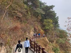 -羚羊峡古栈道森林公园