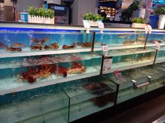 -盒马X会员店(王府井奥莱UP TOWN店)