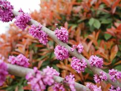 -杭州城北体育公园