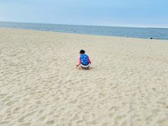 -海口喜来登酒店