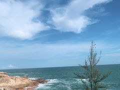 -广东惠东海龟国家级自然保护区