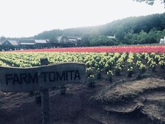 -富田农场
