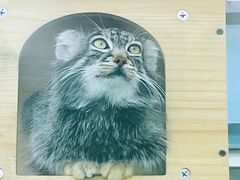 -青藏高原野生动物园