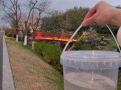 -羊山湖公园