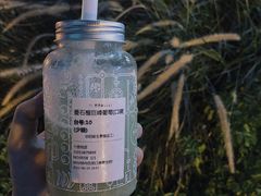 -野萃山·潮汕厚果汁(十亩地店)