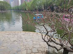 -团结湖公园