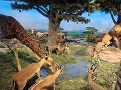 -国家自然博物馆