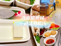 -海底捞火锅(公益西桥店)