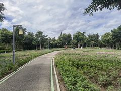 -五缘湾湿地公园