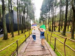 -玉苍山国家森林公园