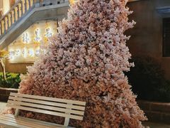 -大水的店(昙华林店)