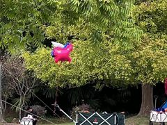 -上海滨江森林公园