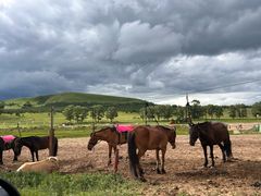 -塞罕坝国家级自然保护区