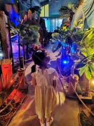 -恐龙探索乐园(磁器口店)