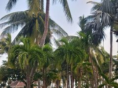 -海口喜来登酒店