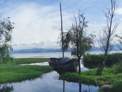 -洱海月湿地公园