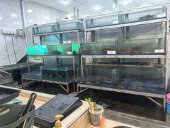 -ZF Seafood Restaurant 卓峰海鲜餐