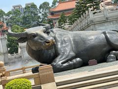 -广东圆玄道观