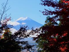 -富士山吉田線五合目