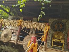 -呀路古热带植物园
