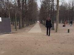 -杜乐丽花园
