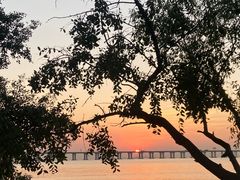 -宝安西湾红树林湿地公园