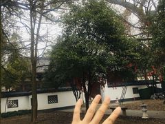 -西湖风景区十里琅珰-五云山