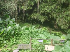 -海口火山口国家地质公园