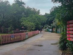 -广州长隆飞鸟乐园