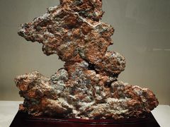 -安徽省地质博物馆