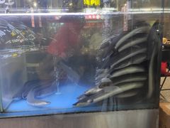 -本炙炭烤·蒲烧活鳗料理店(金沙洲店)