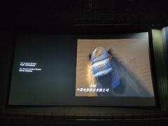 -深影国际影城(学院南路店CGS中国巨幕店)