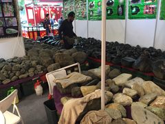 -东浩兰生上海世博展览馆