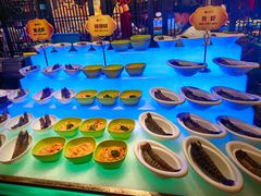 -舒友海鲜姿造(白鹭洲店)