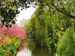 -南汇桃花村