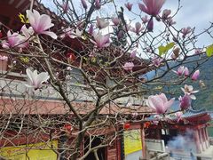 -飞霞风景名胜区