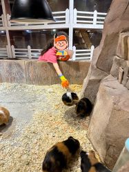 -宝燕乐园(闵行旗舰店)