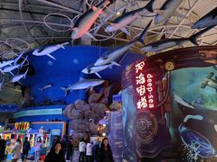 -烟台海昌鲸鲨海洋公园