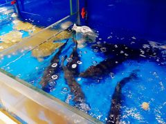 -姜君·千岛湖鱼头馆(浦东大道店)