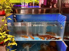 -涿派·炝锅鱼(涿州店)