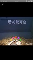 -恐龙探索乐园(磁器口店)