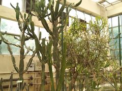 -石家庄市植物园